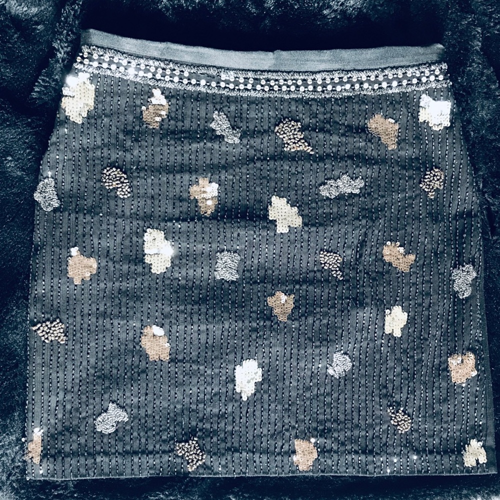 Sequin Skirt